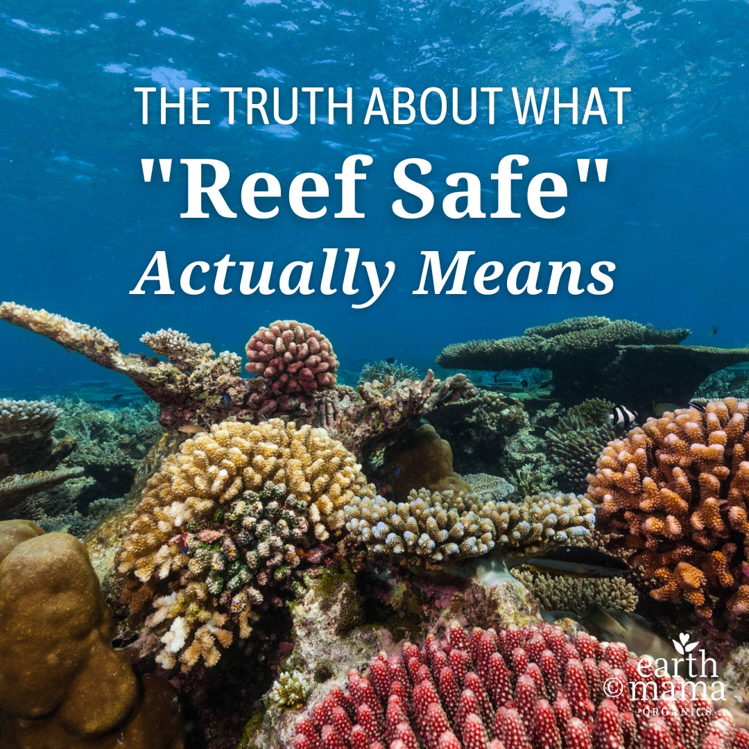 The Truth About  What "Reef Safe"  Actually Means
